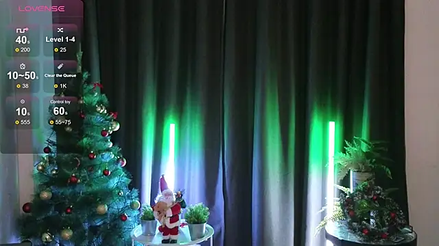 Snapshot of DebiHenks chatting on 17, 12, 2025 DebiHenks online show from 17, 12, 2025