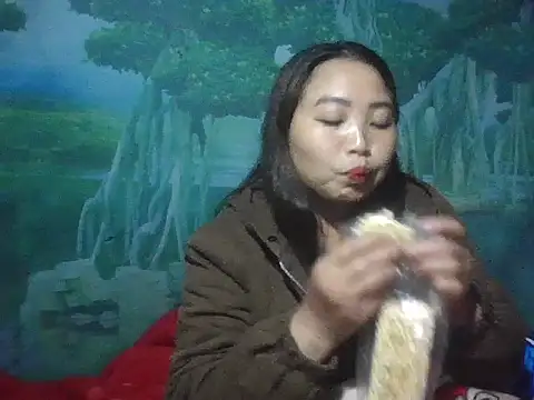 Snapshot of PhamPhung chatting on 17, 11, 2025 PhamPhung online show from 17, 11, 2025