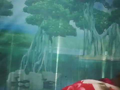 Snapshot of PhamPhung chatting on 18, 11, 2025 PhamPhung online show from 18, 11, 2025