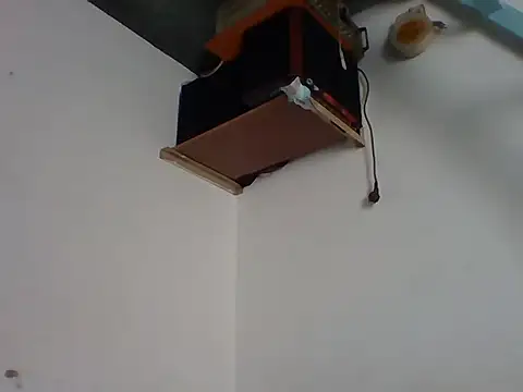 Boy kuto77 online show from 18, 12, 2025