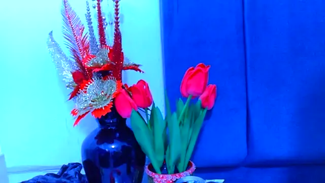 AmbarSmit online show from 16, 4, 2026