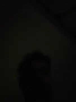 Handydila online show from 7, 11, 2025