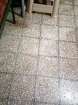 twpatil online show from 25, 10, 2025