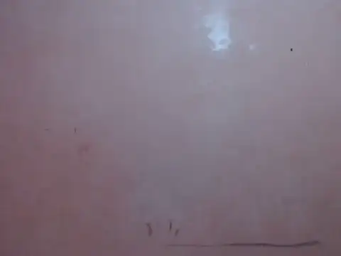 Kyoshi 19 online show from 17, 1, 2026