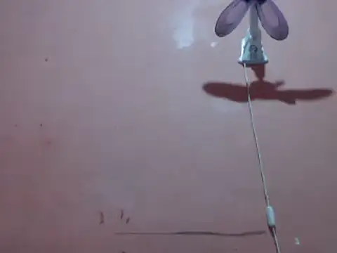 Kyoshi 19 online show from 26, 9, 2025