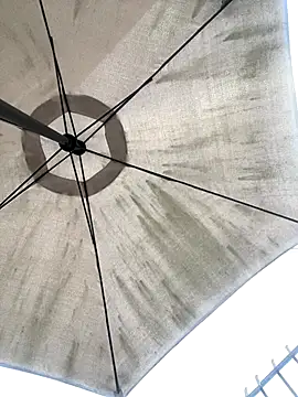 Sallem Pink online show from 20, 12, 2025