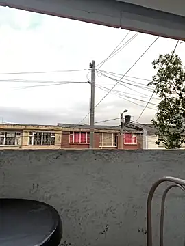 Sallem Pink online show from 22, 3, 2026