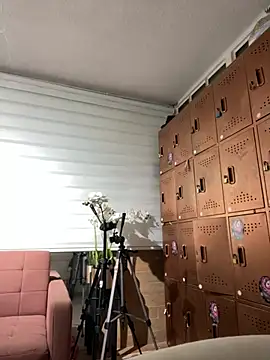 Sallem Pink online show from 1, 3, 2026