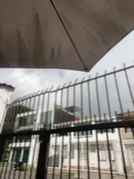 Sallem Pink online show from 1, 4, 2026