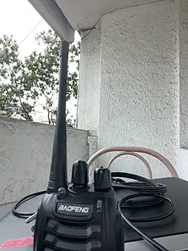 Sallem Pink online show from 12, 3, 2026