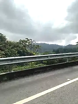 TamaraMera online show from 7, 1, 2026