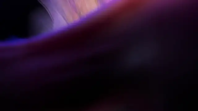 Widny Beaumont online show from 22, 11, 2025