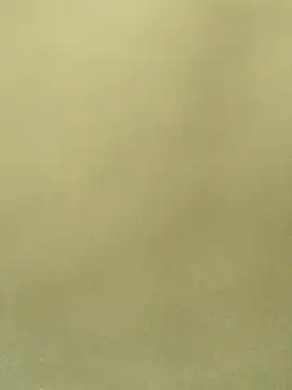 Lale-Adrian online show from 13, 1, 2026