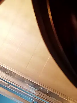 NISHU-TELUGU online show from 17, 1, 2026