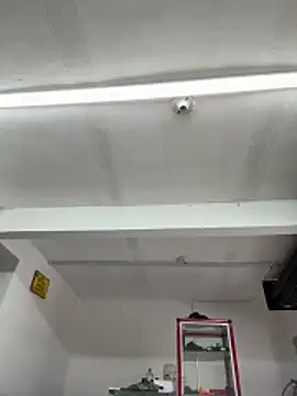 Terra-22cm online show from 13, 4, 2026