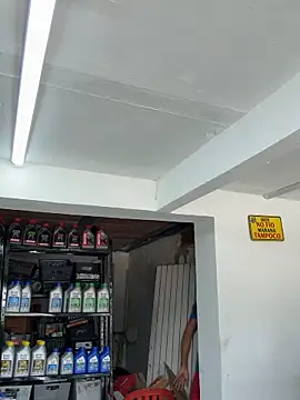 Terra-22cm online show from 7, 4, 2026