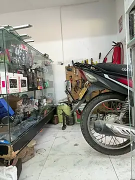 Terra-22cm online show from 10, 3, 2026