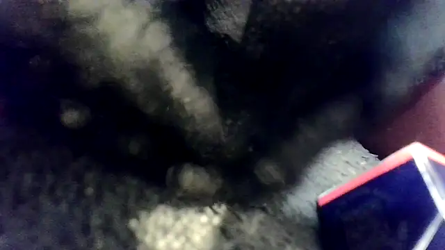 Evieskyyxh online show from 26, 11, 2025