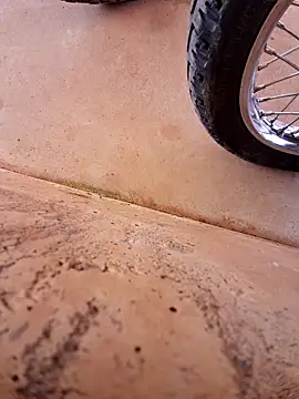 Negodabenga online show from 27, 11, 2025