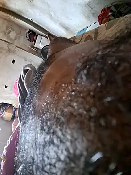 Negodabenga online show from 18, 10, 2025