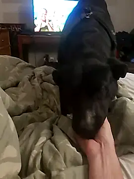 Snapshot of dandonn chatting on 27, 2, 2025 dandonn online show from 27, 2, 2025