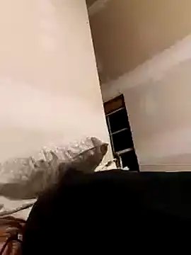 Snapshot of dandonn chatting on 25, 1, 2025 dandonn online show from 25, 1, 2025