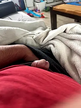 carapace31 online show from 23, 11, 2025