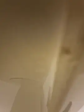 solofe19 online show from 5, 11, 2025