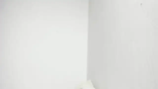 snow doll online show from 13, 4, 2026