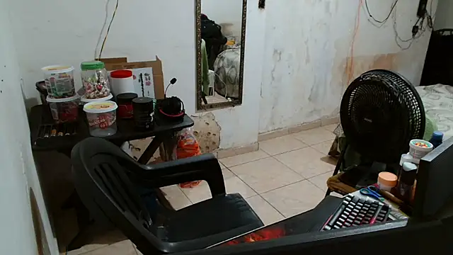 Leonino231 online show from 13, 11, 2025