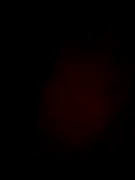 Snapshot of Daisygirl9 chatting on 21, 2, 2026 Daisygirl9 online show from 21, 2, 2026