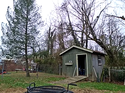 sloppytopkins online show from 21, 11, 2025