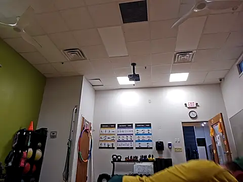 sloppytopkins online show from 24, 9, 2025