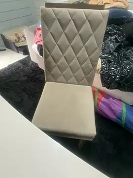 Snapshot of AnimistEquity chatting on 12, 11, 2025 AnimistEquity online show from 12, 11, 2025