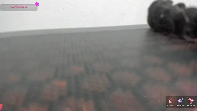 FluffyMelons online show from 1, 4, 2026