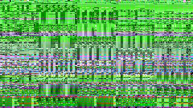 cazzoweb online show from 27, 9, 2025
