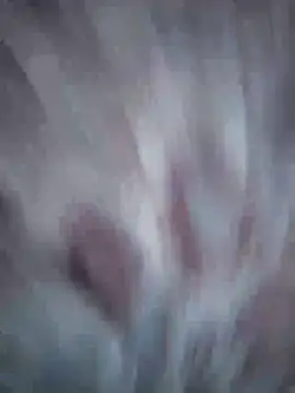 Snapshot of Aliyeni1 chatting on 17, 4, 2026 Aliyeni1 online show from 17, 4, 2026