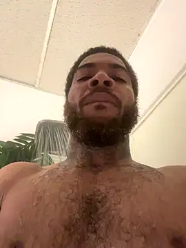 1mistaGoodWood online show from 26, 10, 2025