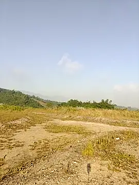 asian 2k online show from 26, 11, 2025