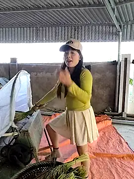 asian 2k online show from 13, 11, 2025