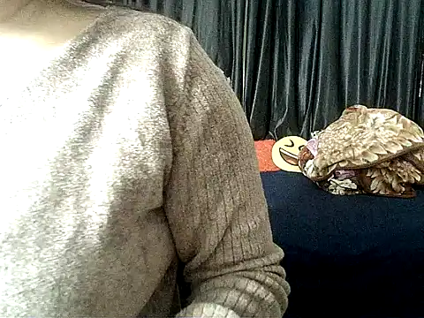 Anaconda-Mall online show from 4, 12, 2025