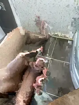 BatchedTracer online show from 3, 4, 2026