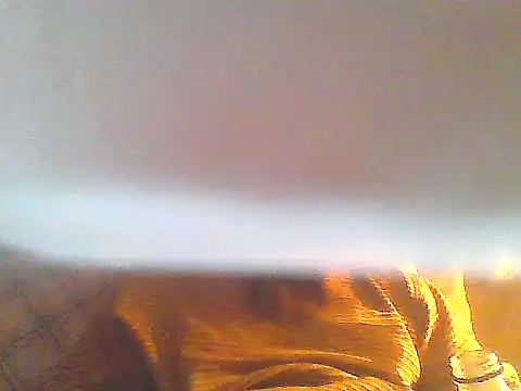 PenerPanShibari online show from 16, 12, 2025