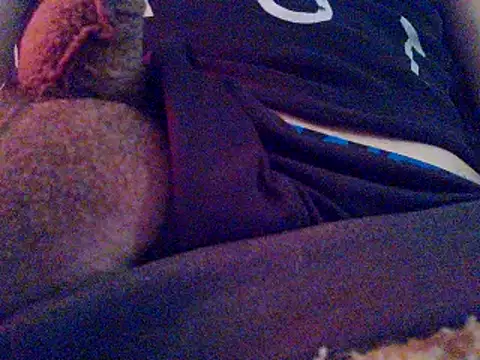 PenerPanShibari online show from 4, 11, 2025