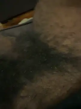 BigBDMari online show from 5, 2, 2026