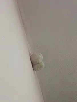 saranghae  online show from 28, 2, 2026