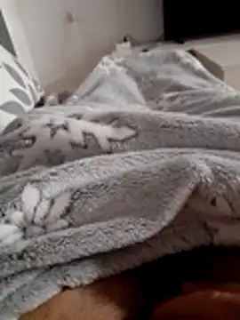 Snapshot of ratoncito_3 chatting on 10, 11, 2025 ratoncito 3 online show from 10, 11, 2025