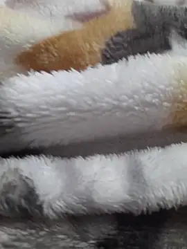 ratoncito 3 online show from 23, 2, 2026