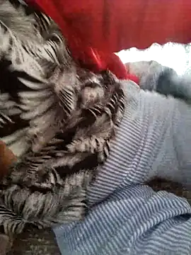 zerdaliii online show from 17, 11, 2025