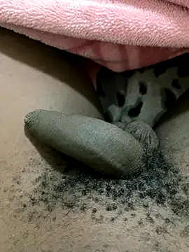 midravelta online show from 23, 9, 2025